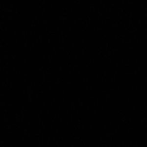 Meet your Posher, Dynasty_with